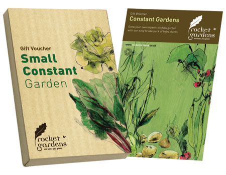 Constant Garden Box