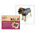 Snuggle Factor WEATHERPROOF DOG COAT MEDIUM