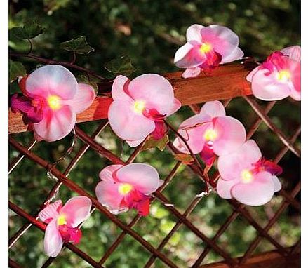 Solalux Set of 12 Orchid Flower Garden Solar String Lantern Fairy Lights Lamps