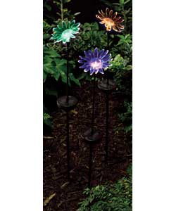 solar Flower Decoration Light - Pack of 3