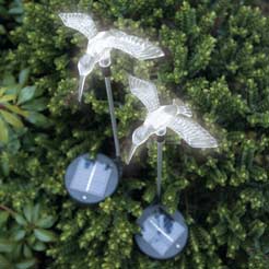 Solar Hummingbird lights