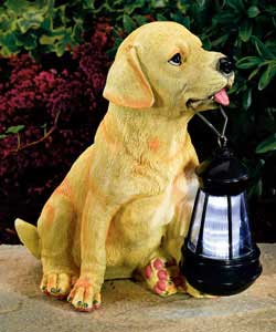 Solar Puppy with Lantern