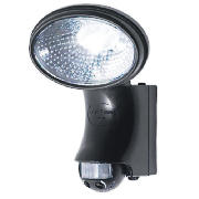 Security Spot Light