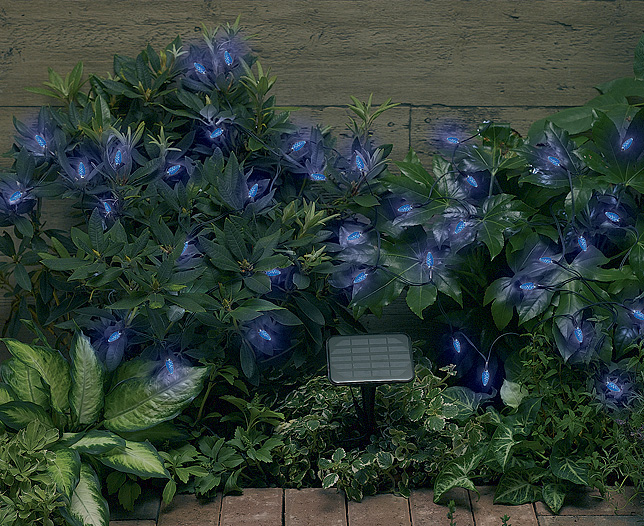 solar String Lights Blue Pine Cone 50 LED (2)