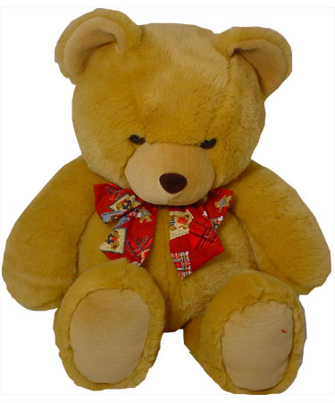 18 Classic TEDDY BEAR