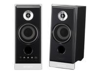 2 Way Black 50watt Speakers