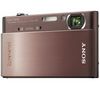 SONY DSCT900 brown