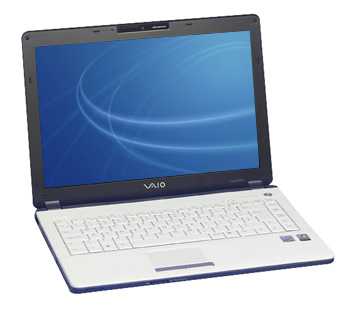 Sony Vaio FJ3S