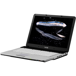 Sony Vaio FS295XP