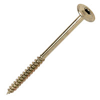 Washer Head Screw 10 x 160