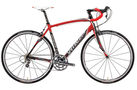 Roubaix Expert 2008 Road Bike