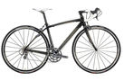 Ruby Expert 2008 Womenand#39;s Road Bike