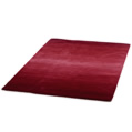 Spectrum Large Rug - red