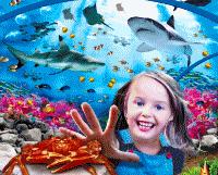 speyer SEA LIFE Centre Child Ticket