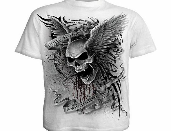 Spiral - Men - ASCENSION - T-Shirt White - Small