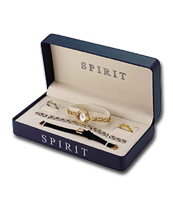 Spirit Interchangeable Watch Set