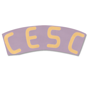 SportingID 07-09 Spain Home Cesc Official Name Only