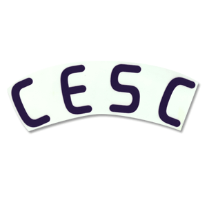 SportingID 08-09 Spain Away Cesc Official Name Only