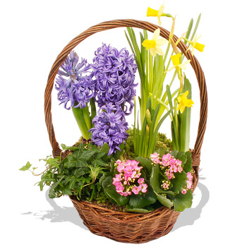 Basket - flowers