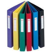Staples 2-Ring PVC Binder
