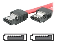 12`nd#39; LAT SATA CABLE-SRAIGHT M/M