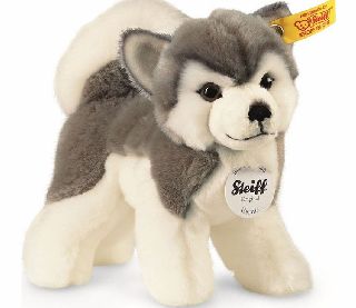 Steiff Bernie Husky 17cm 2014