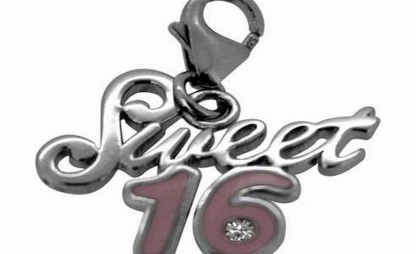 Sterling Silver Enamel 16 Clip-On Charm