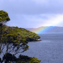 Stewart Island Coastal Highlights - Adult