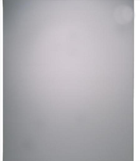 SPL60SS 60cm Splashback in Stainless Steel