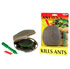 ANT ROCK UNIVERSAL BAIT STATION (STV326)