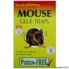 STV The Big Cheese Baited Mouse Glue