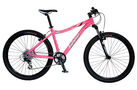 Summer Skye 2008 Womens Mountain Bike