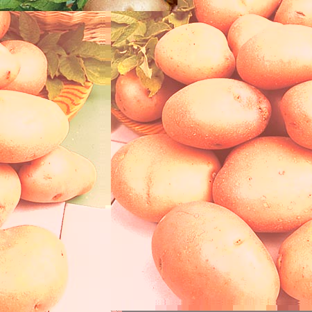 READER OFFER - SU879 Pack of 6 Potato