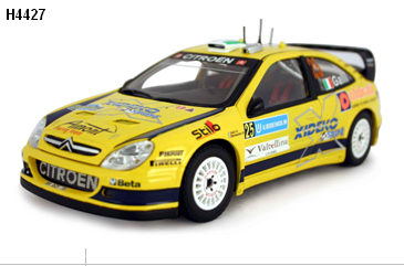 Citroen Xsara - Galli - Sweden - 2007