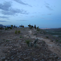 Horseback Trail Ride and BBQ - Adult