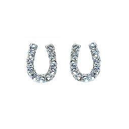 Horseshoe Earrings