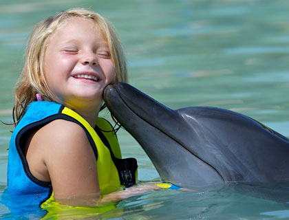 Swimming With Dolphins at Atlantis The Palm Shallow Water Dolphin Interaction