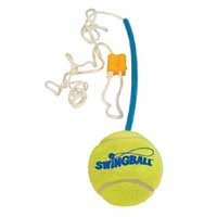 Ball and Tether Replacement