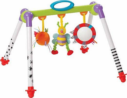 Taf Toys Take-To-Play Gym