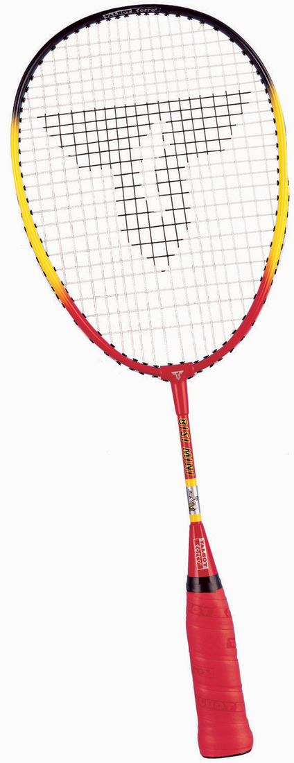 BISI Mini Racket 449570/449531 -