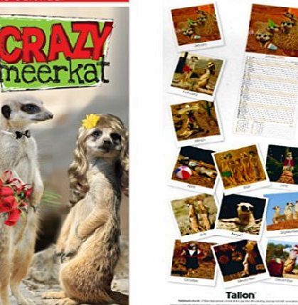 Tallon 2015 Crazy Meerkat Super Slim Month Per Page Wall Calendar - 12 Images 0507