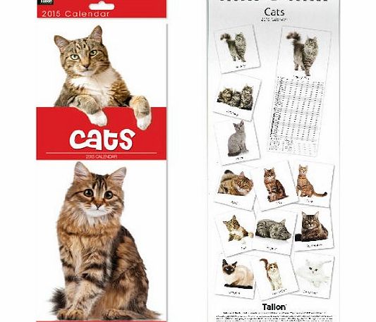 Tallon 2015 Cute Cats Super Slim Month Per Page Wall Calendar - 12 Images 0500