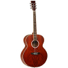 Tanglewood TSJ XB Evolution Exotic Acoustic Guitar