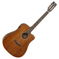 TW138 ASM Dreadnought Acoustic Guitar