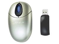 Wireless Optical Mini Mouse (PAUM005E)