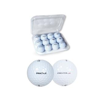 TaylorMade Golf TaylorMade Penta TP Practice Golf Balls (12 Balls)