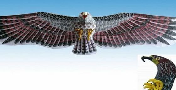 3D Desert Eagle Kite Flying Toy & Hobby Outdoor Park Beach Fun Garden Farm Defense Bird Scaring Traditional Chinese Souvenir Art & Handicraft Collectible, Wine Red