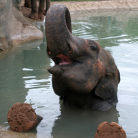 Terra Natura , Benidorm