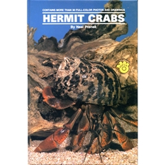 Hermit Crabs