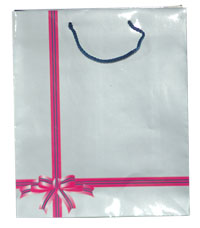 Large Gift Bag